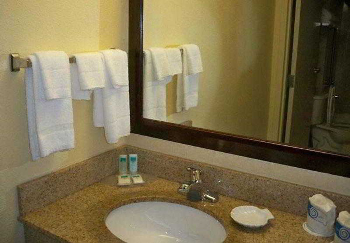 SpringHill Suites Nashville MetroCenter-United States-NASHVILLE-General view-10