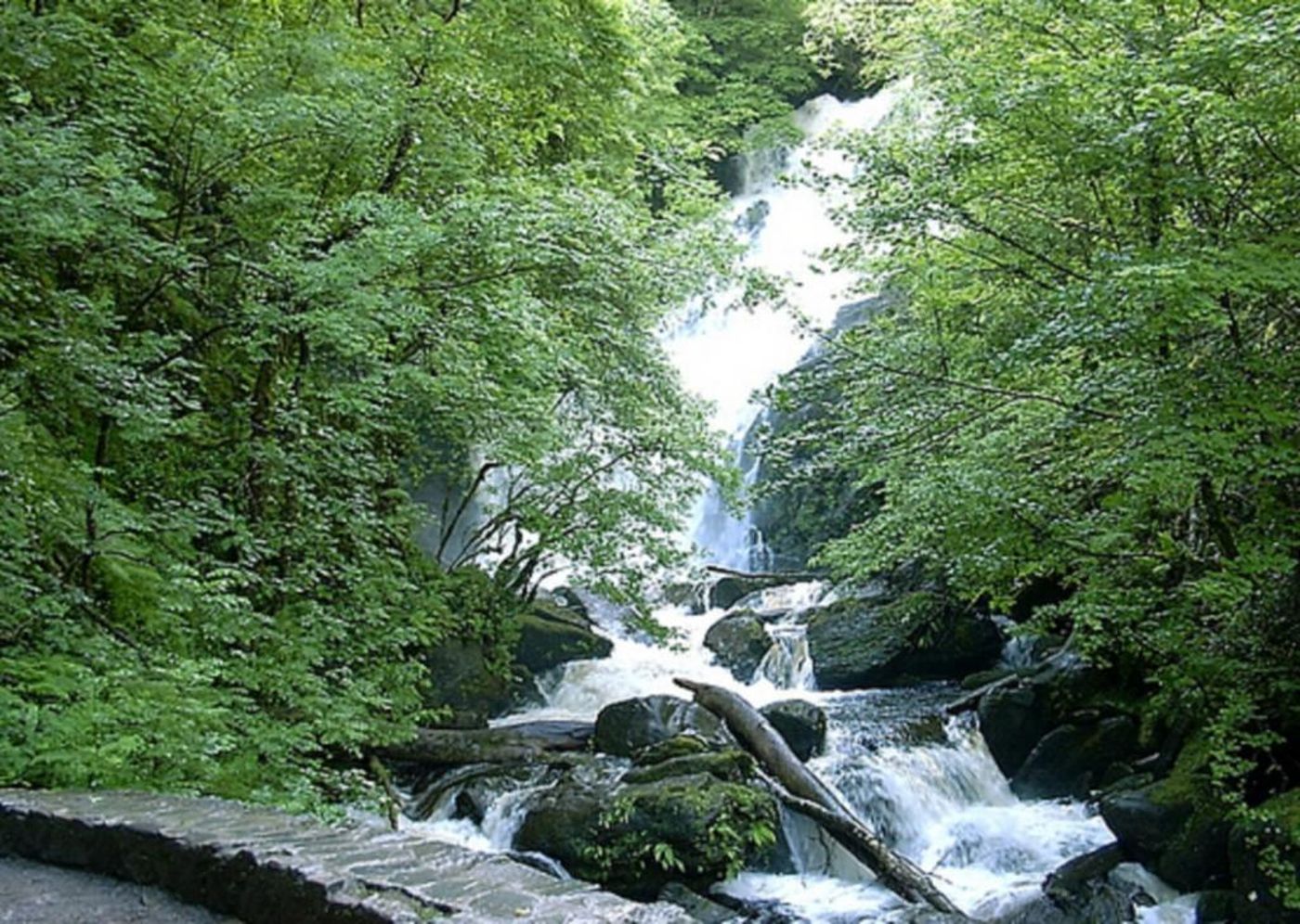 The Victoria-Ireland-KILLARNEY-General view-4