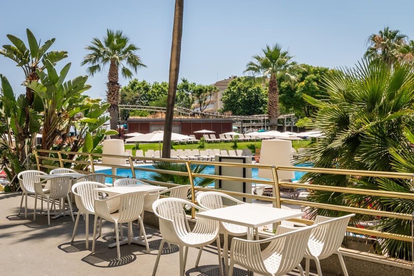 02.02.26 ALEGRIA El Mar