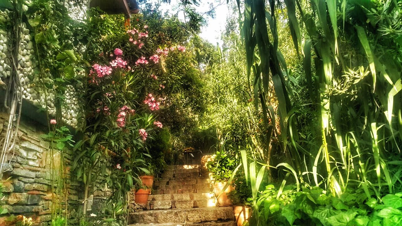 El-Vino-Hotel-Suites-Pool-14