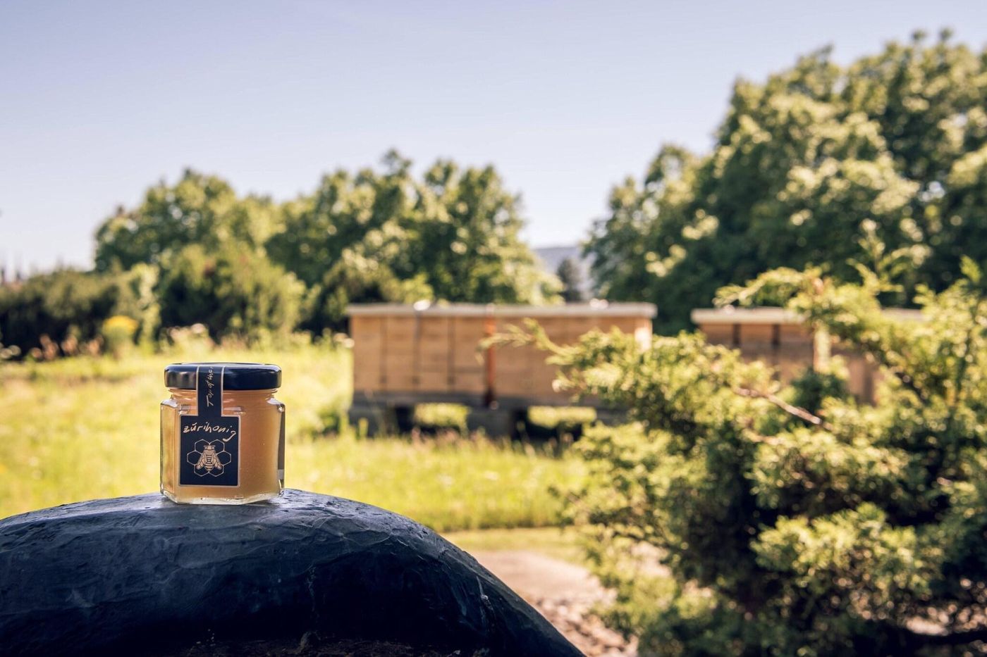 Marriott Hotel Zurich-Switzerland-ZURICH-General view-2