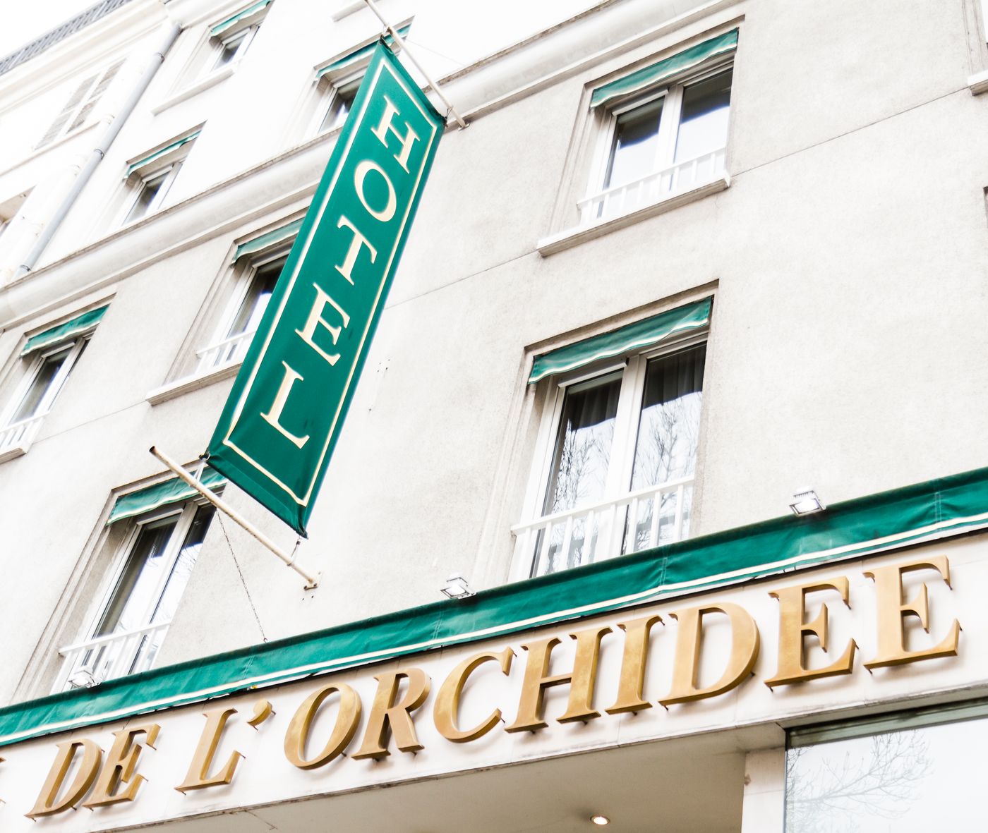 Orchidee Paris-France-PARIS-General view-2