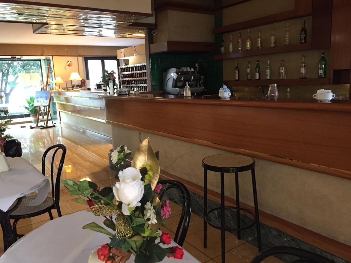 Albatros-General-view-16