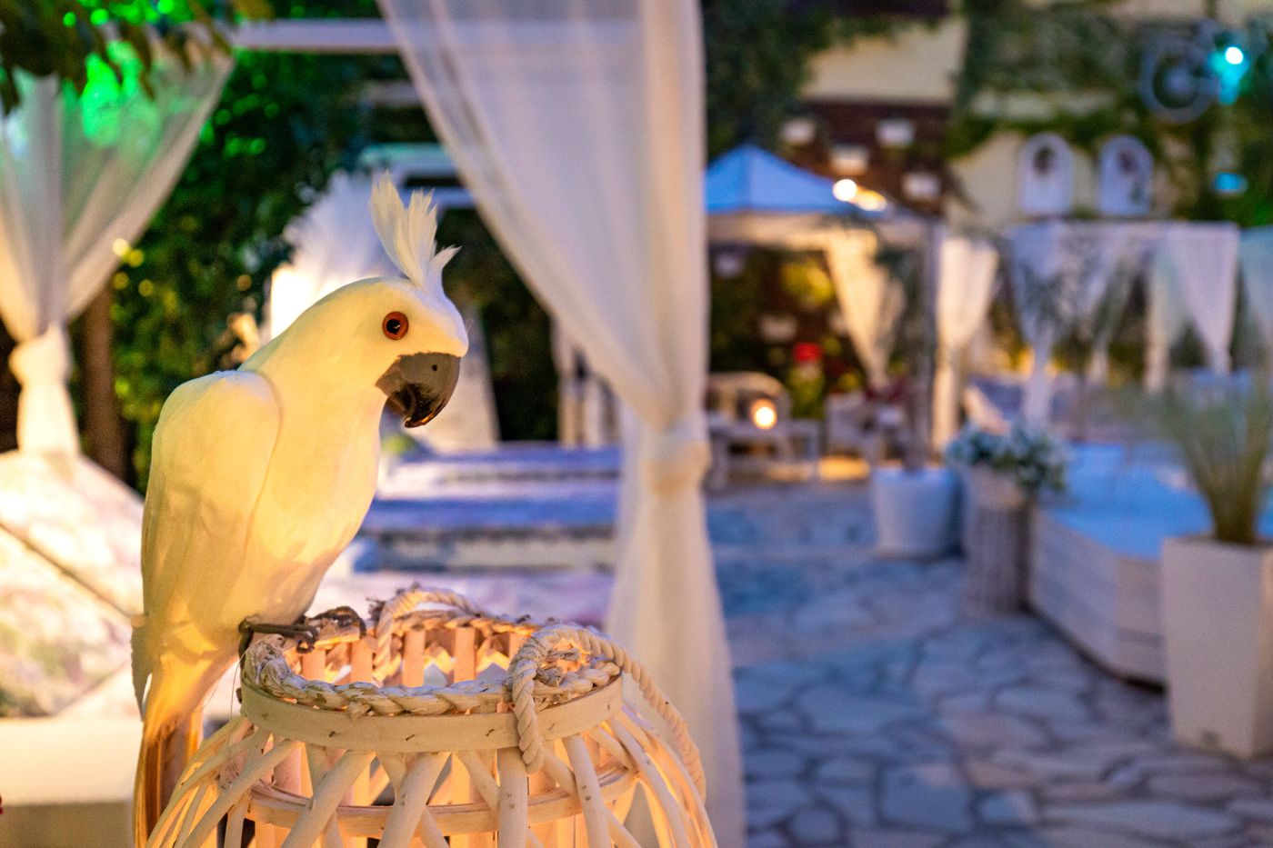 V-A--Boutique-Apartments-and-Suites-Bar-25