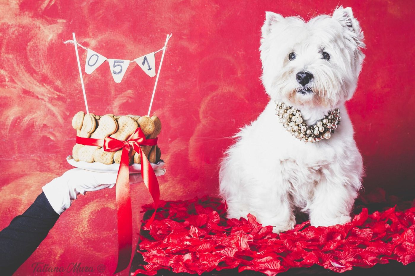 051B Room Breakfast - Italy - Bologna - General view - 7