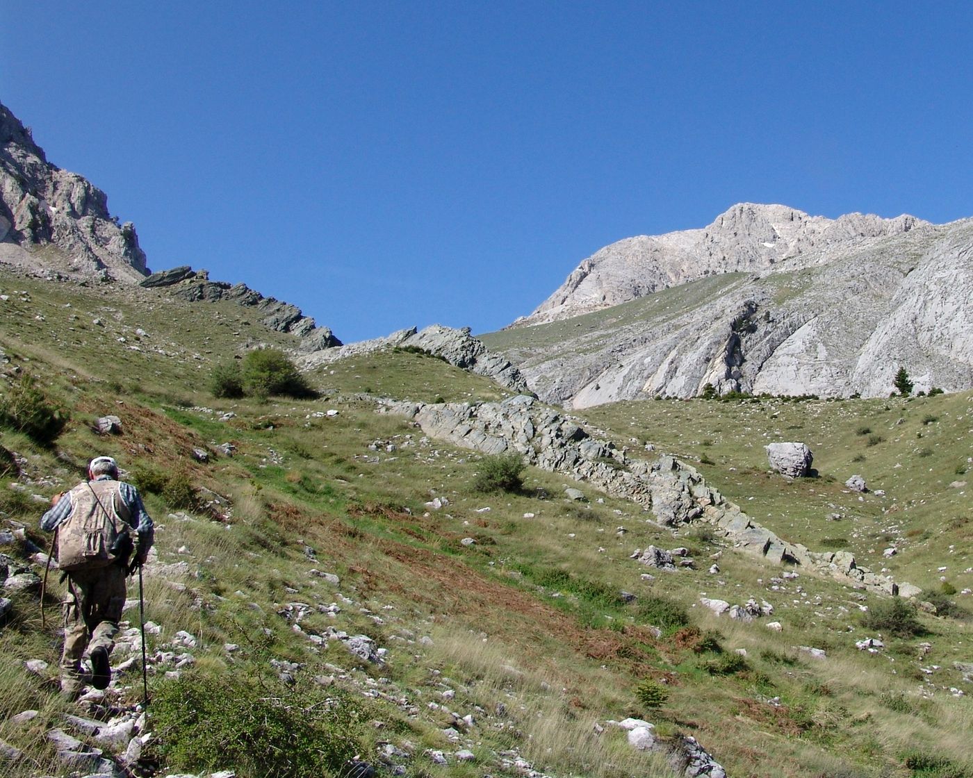 Tsokas-Sports-and-Entertainment-46