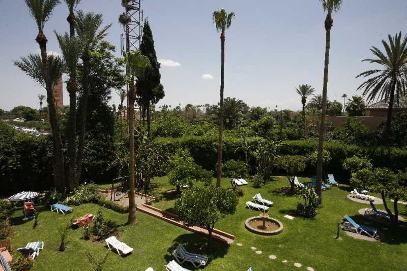 Chems-General-view-12