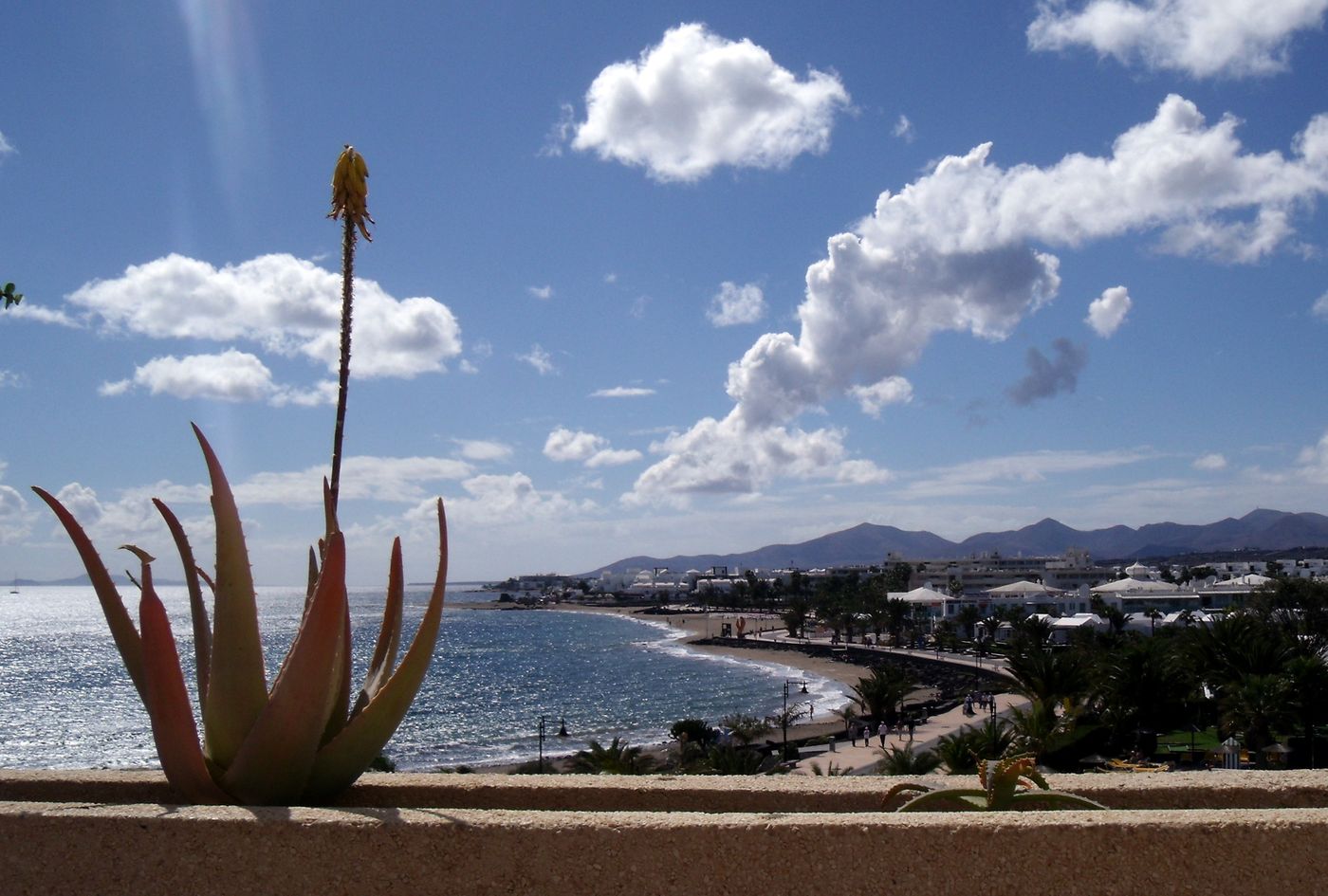 Beatriz-Playa---Spa-Beach-60