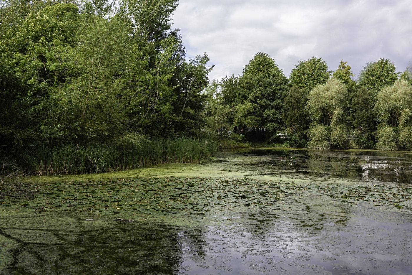 Holiday Inn Express Dublin Airport-Ireland-Dublin-General view-5