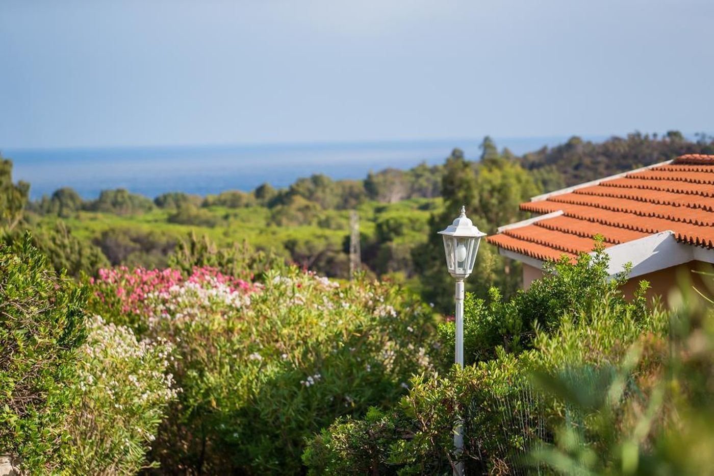 Rocca-Dorada-General-view-40