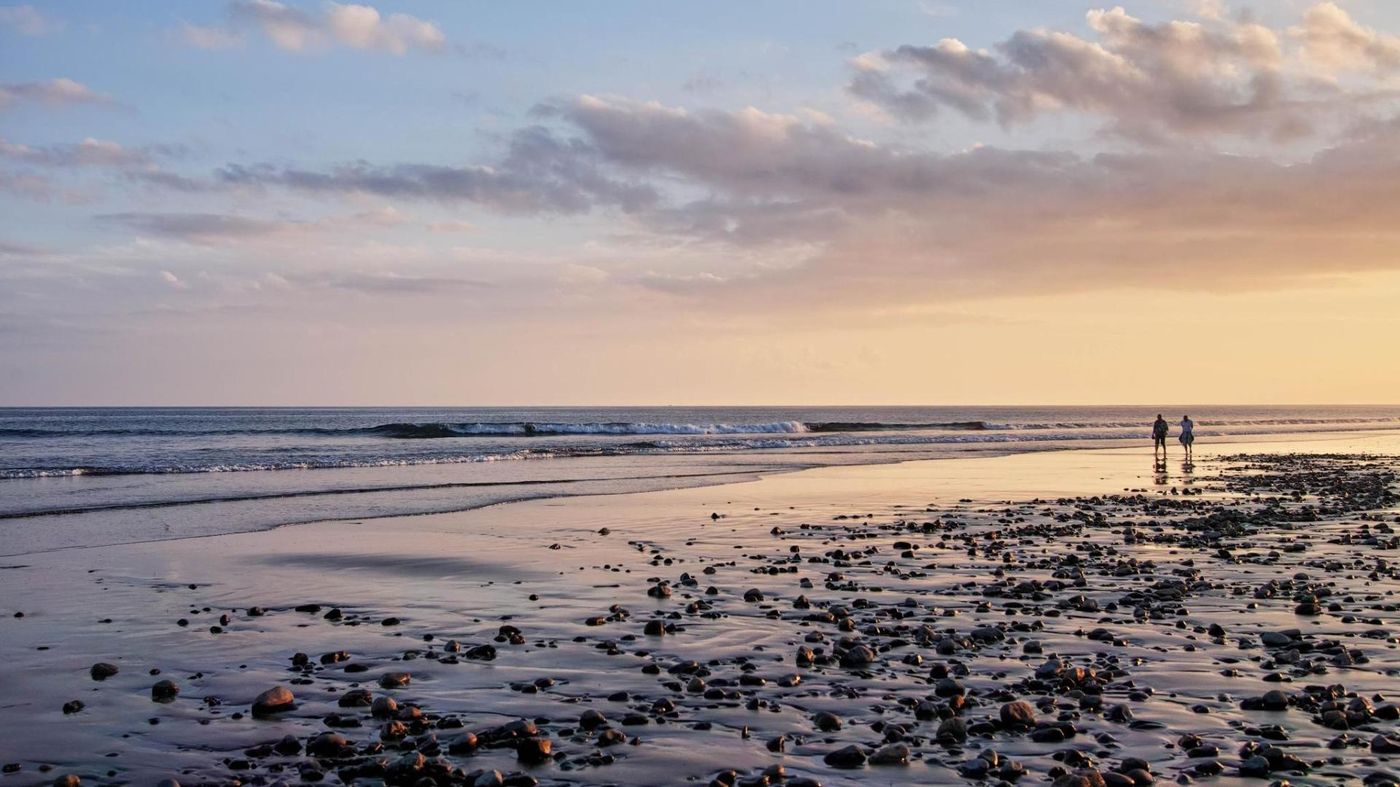 Strelitzias-Beach-28