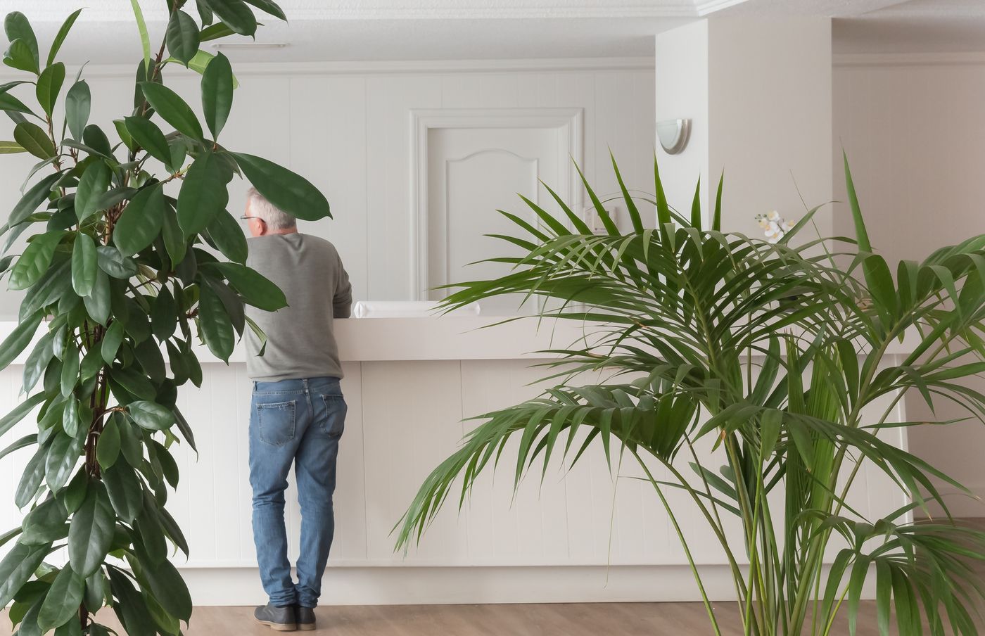 IBB-Paradis-Blau-Lobby-25