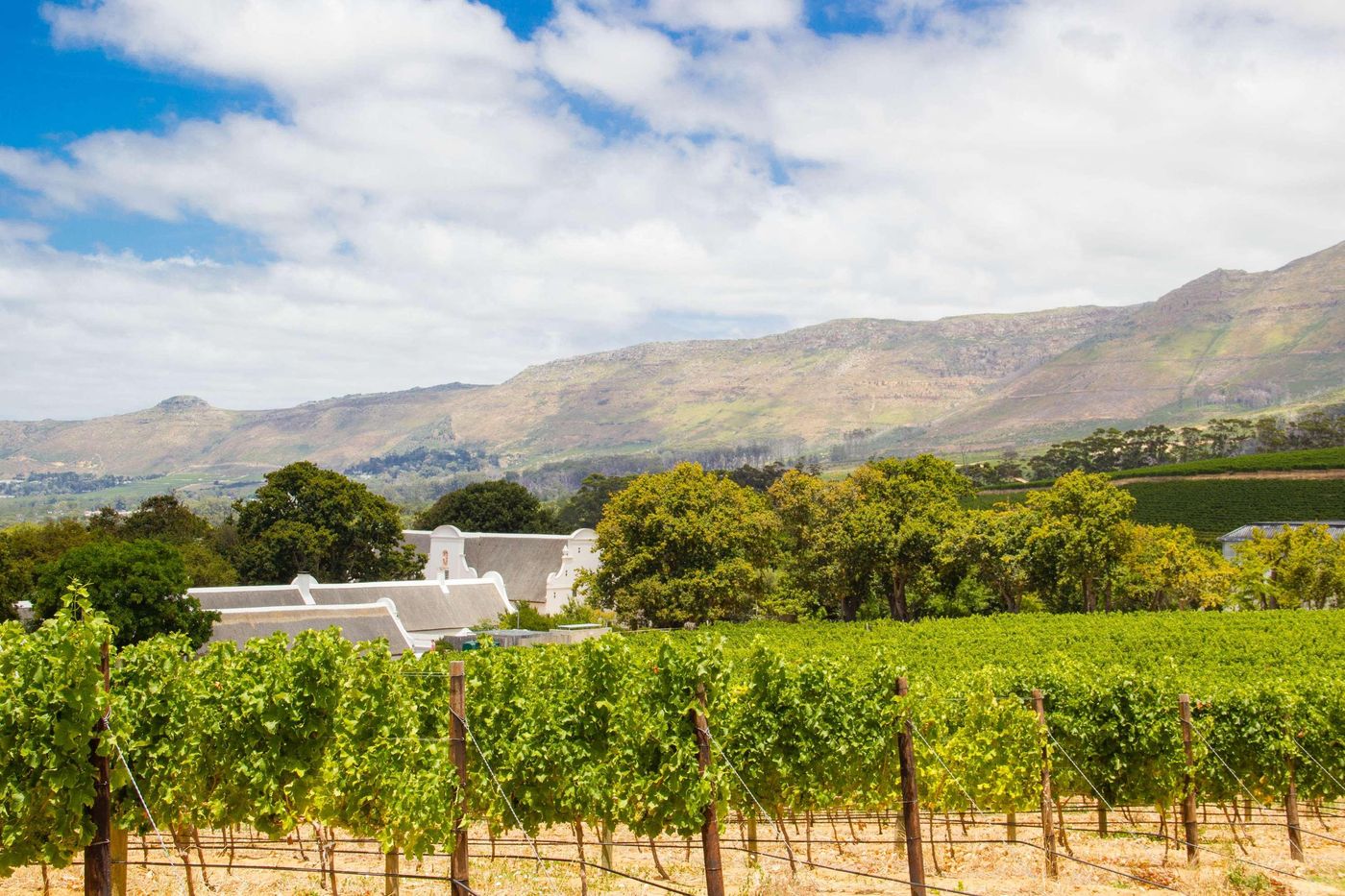 Fountains Hotel Cape Town - South Africa - Cape Town - Sports and Entertainment - 7