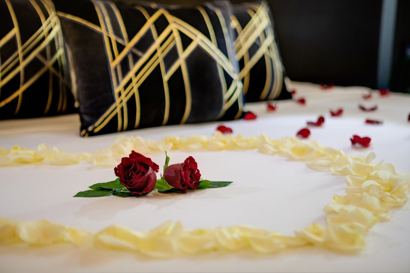 Dharma-Boutique-Hotel---Spa-Room-28