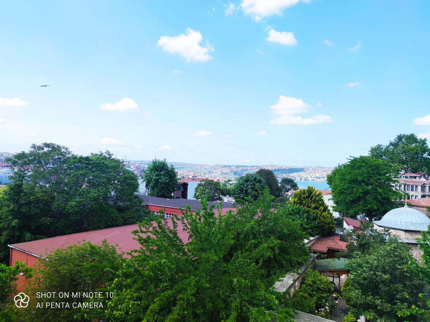 Solomon-s-Mansion-Hotel-Room-60