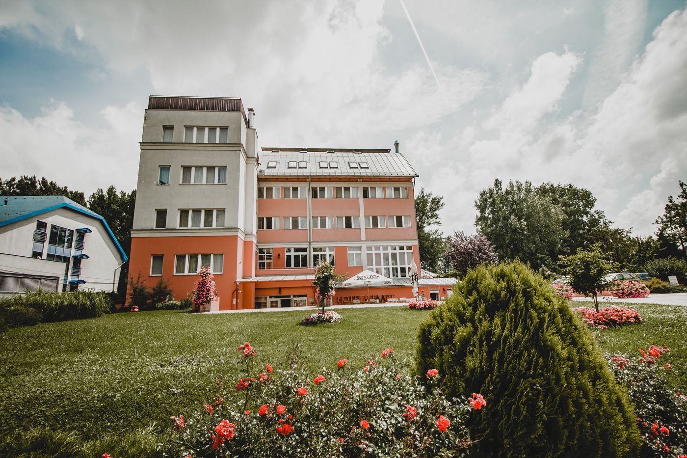 Alfa-Art-General-view-2