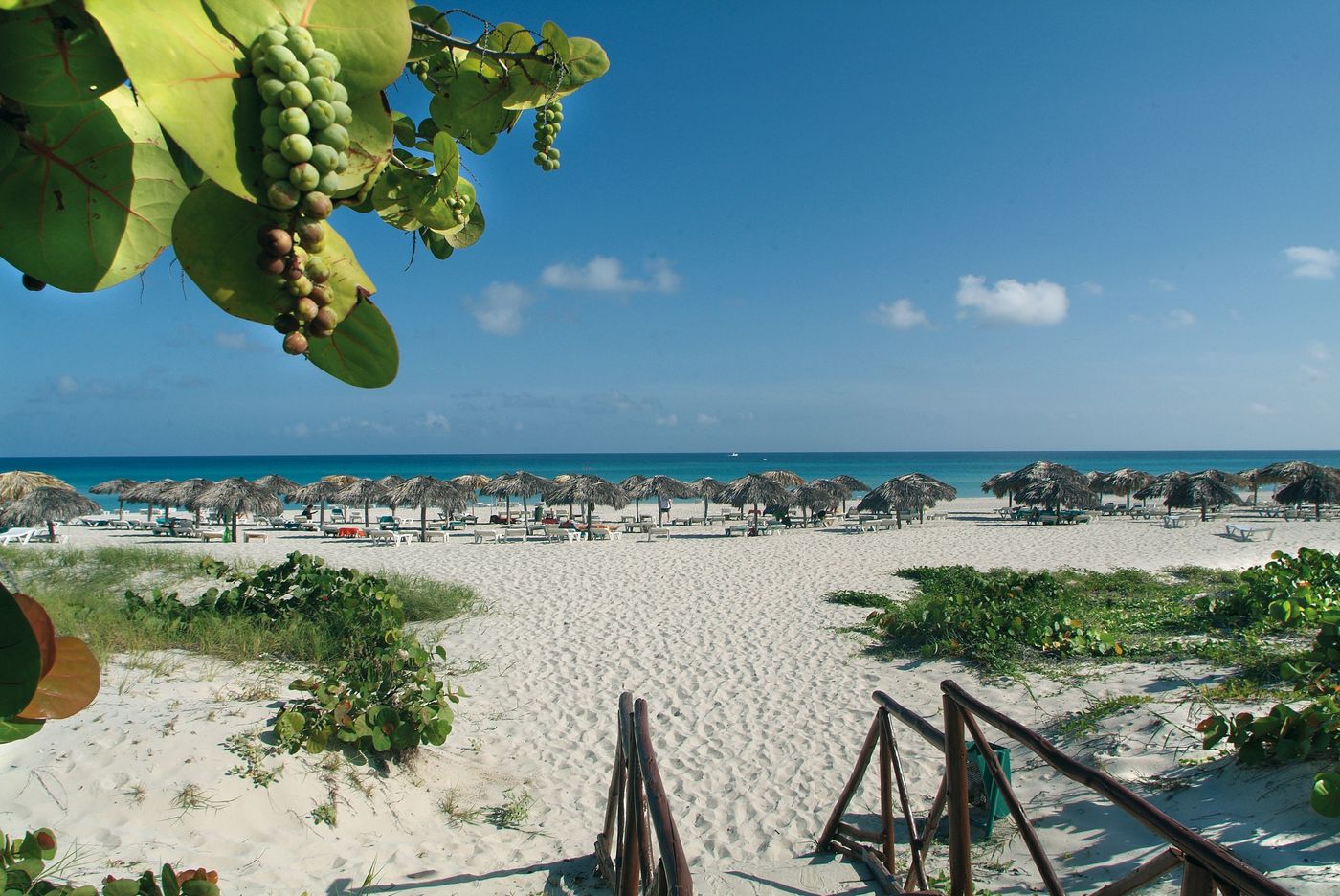 Occidental Arenas Blancas