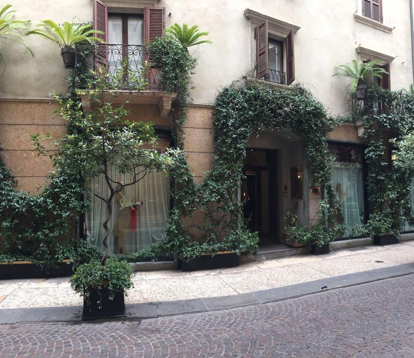 Gabbia D'oro - Italy - VERONA - General view - 0