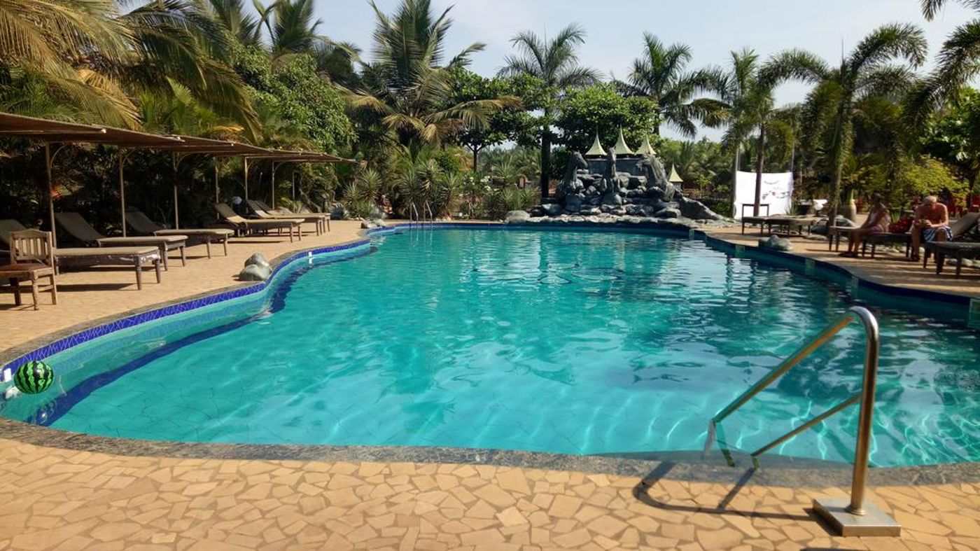 Primo Bom Terra Verde