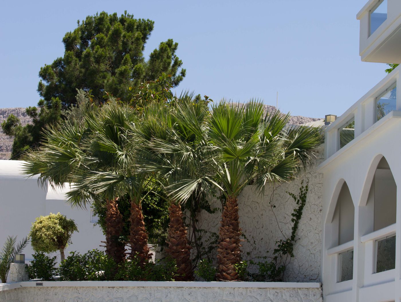 Lindos-White-Hotel---Suites-General-view-14