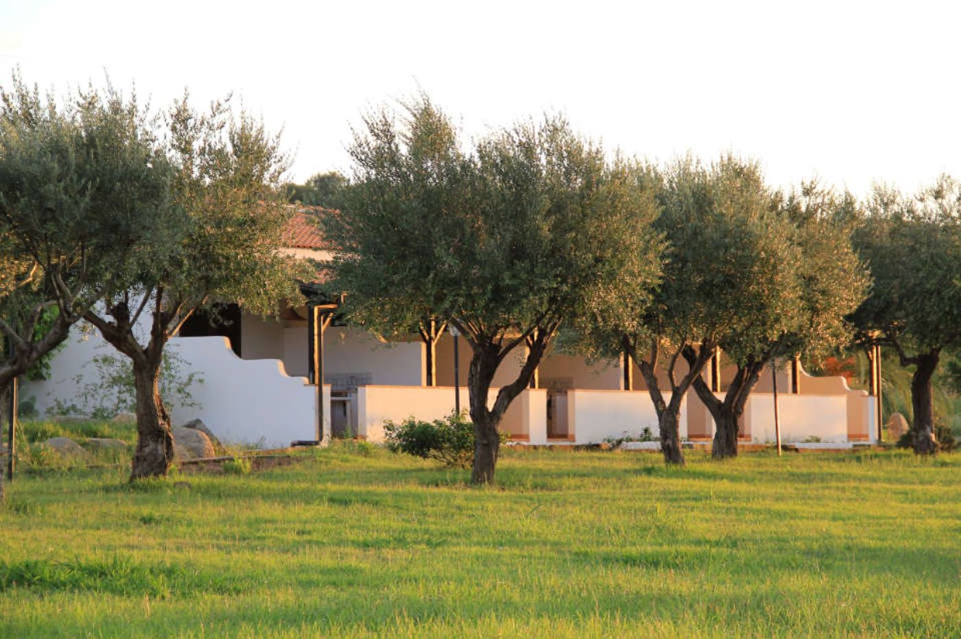 Villaggio Club Dolomiti sul Mare-Italy-BRIATICO -Room-9