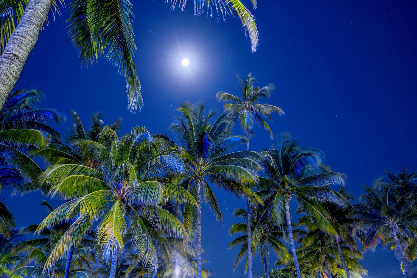 Hilton Vacation Club Crescent on South Beach Miami - United States - Miami Beach - General view - 9