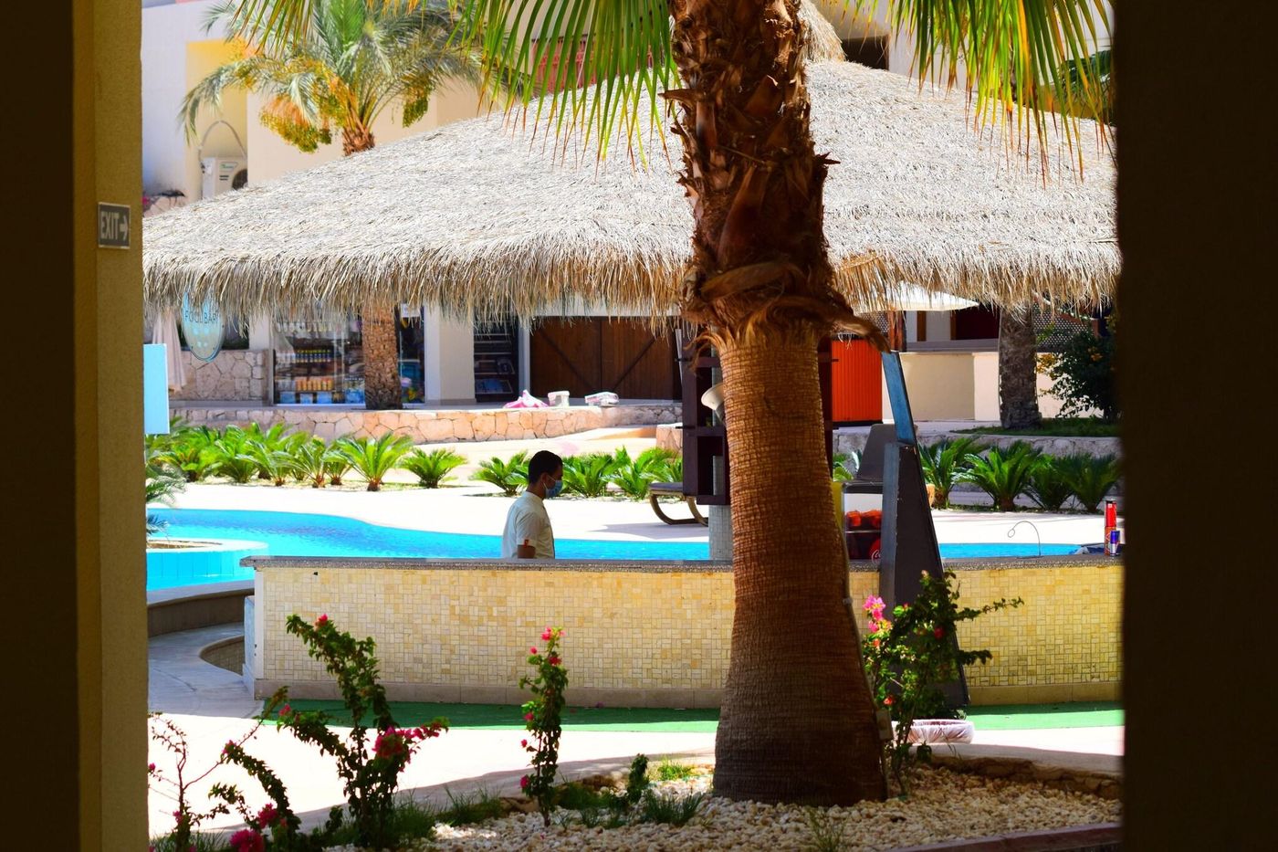 Hilton-Sharks-Bay-Resort-Bar-21