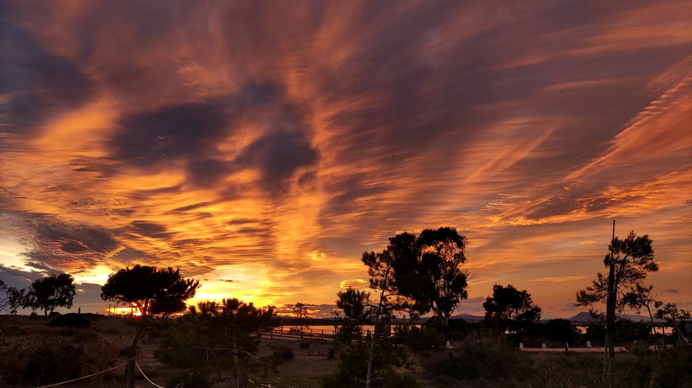 Lloyds-Beach-Club-Sports-and-Entertainment-72