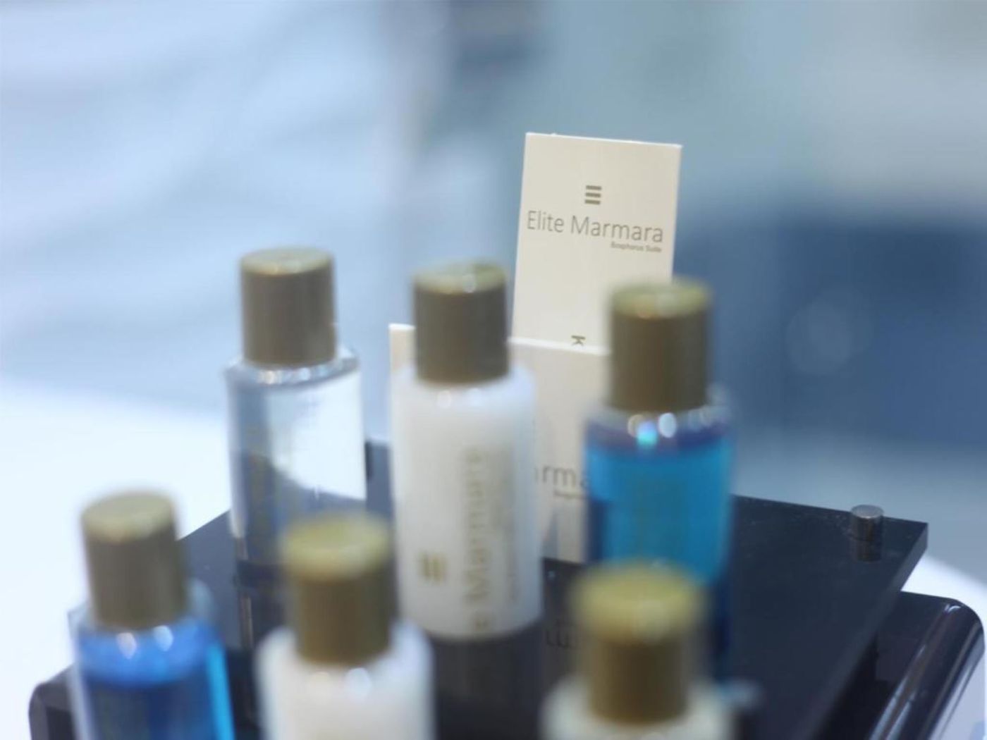 Elite Marmara Bosphorus & Suites-Turkey-ORTAKOY/BESIKTAS/ISTANBUL-General view-4