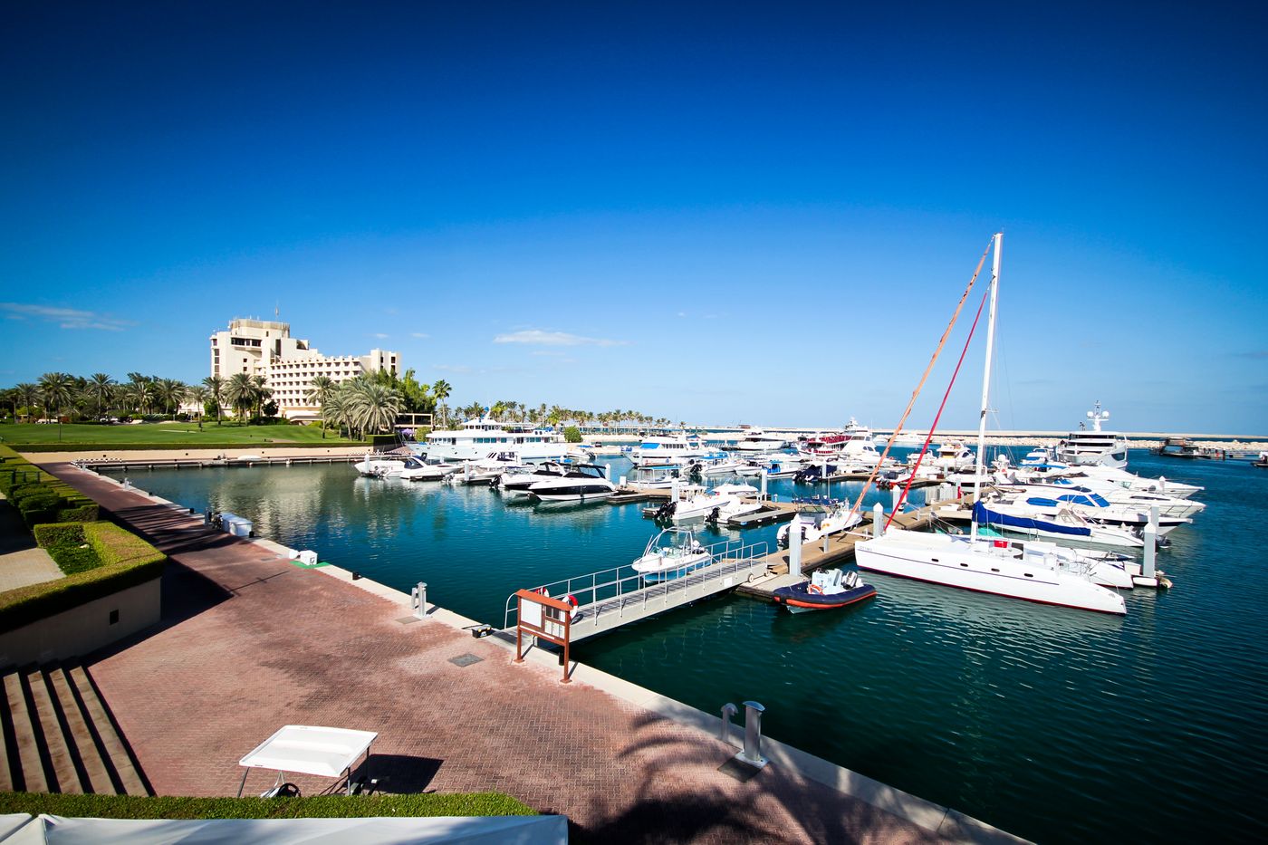 JA-Palm-Tree-Court-Sports-and-Entertainment-14