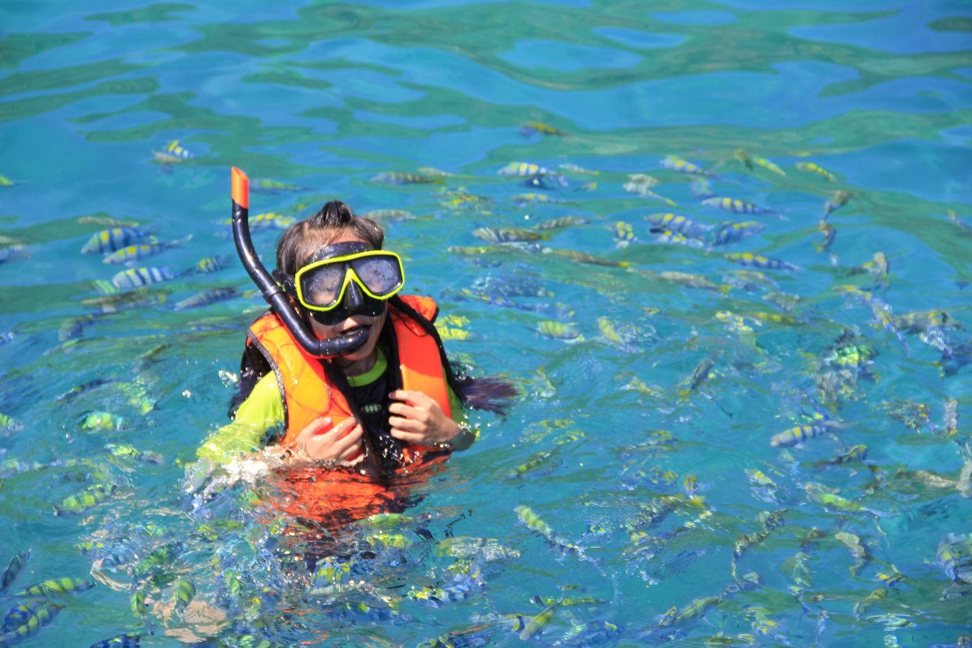 Coral-Island-Resort-Sports-and-Entertainment-28