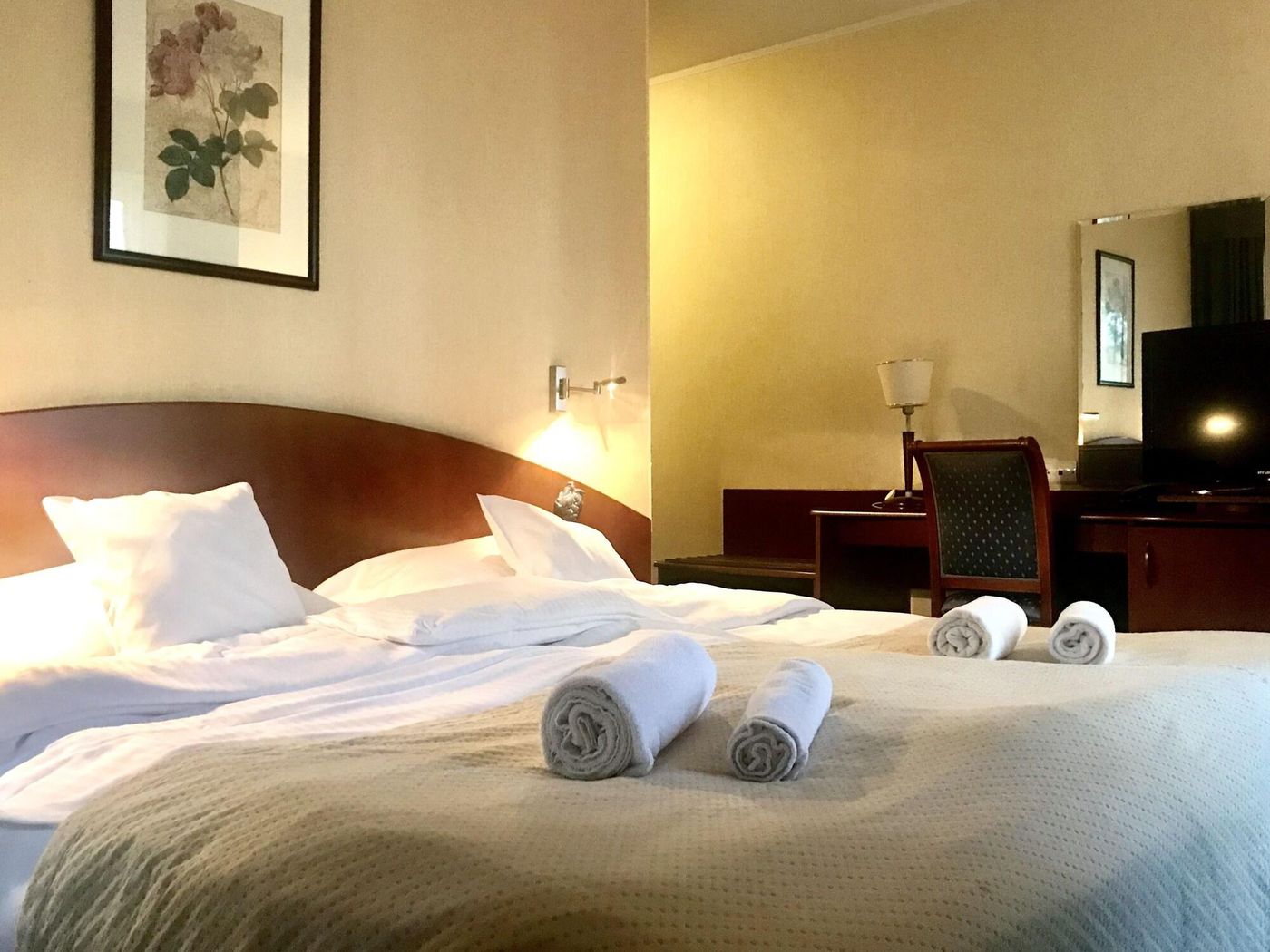 Hotel Rezydencja Solei-Poland-POZNAN-Room-9