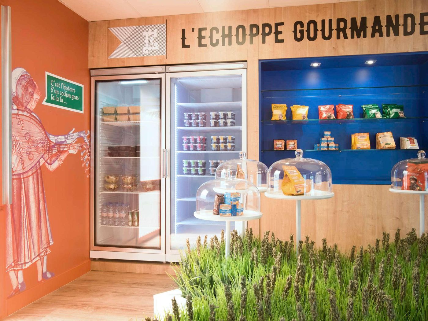 Ibis Styles Carcassonne La Cité-France-Carcassonne-General view-9