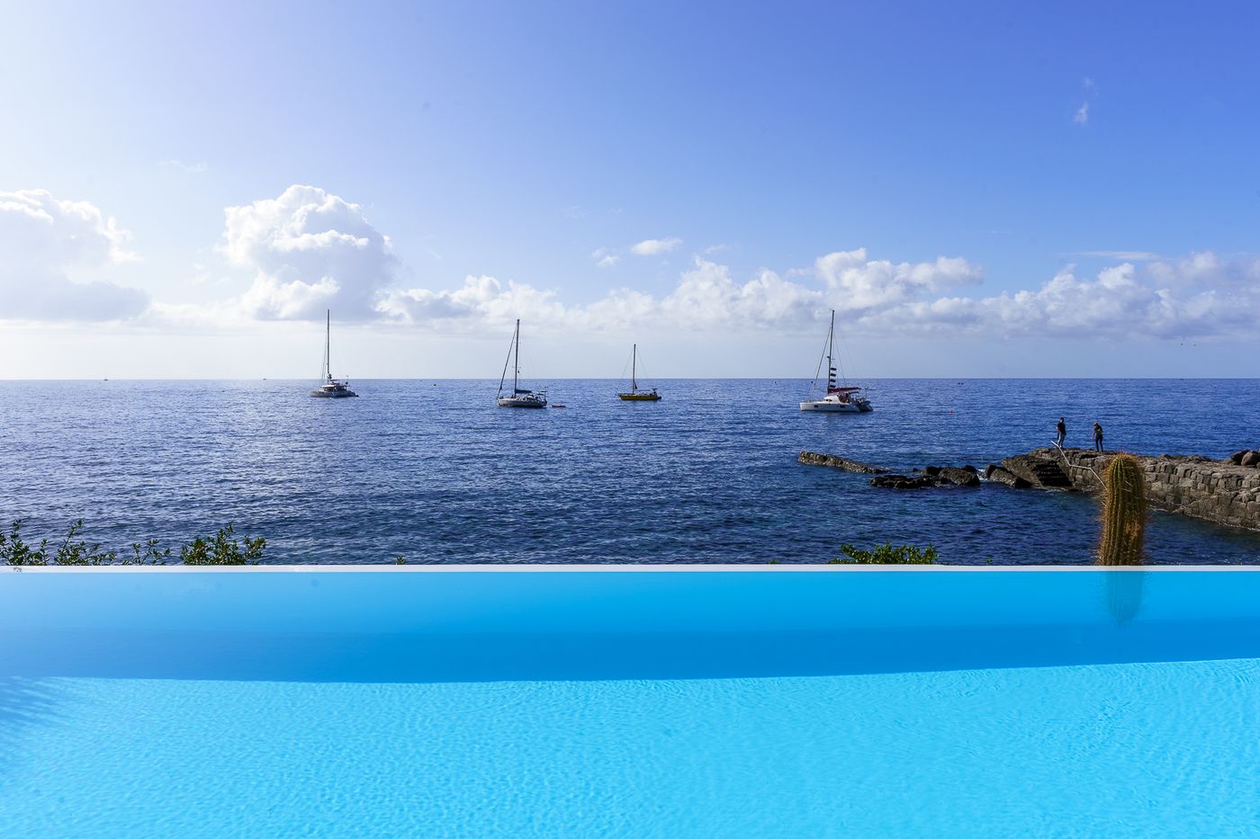 Cordial Muelle Viejo