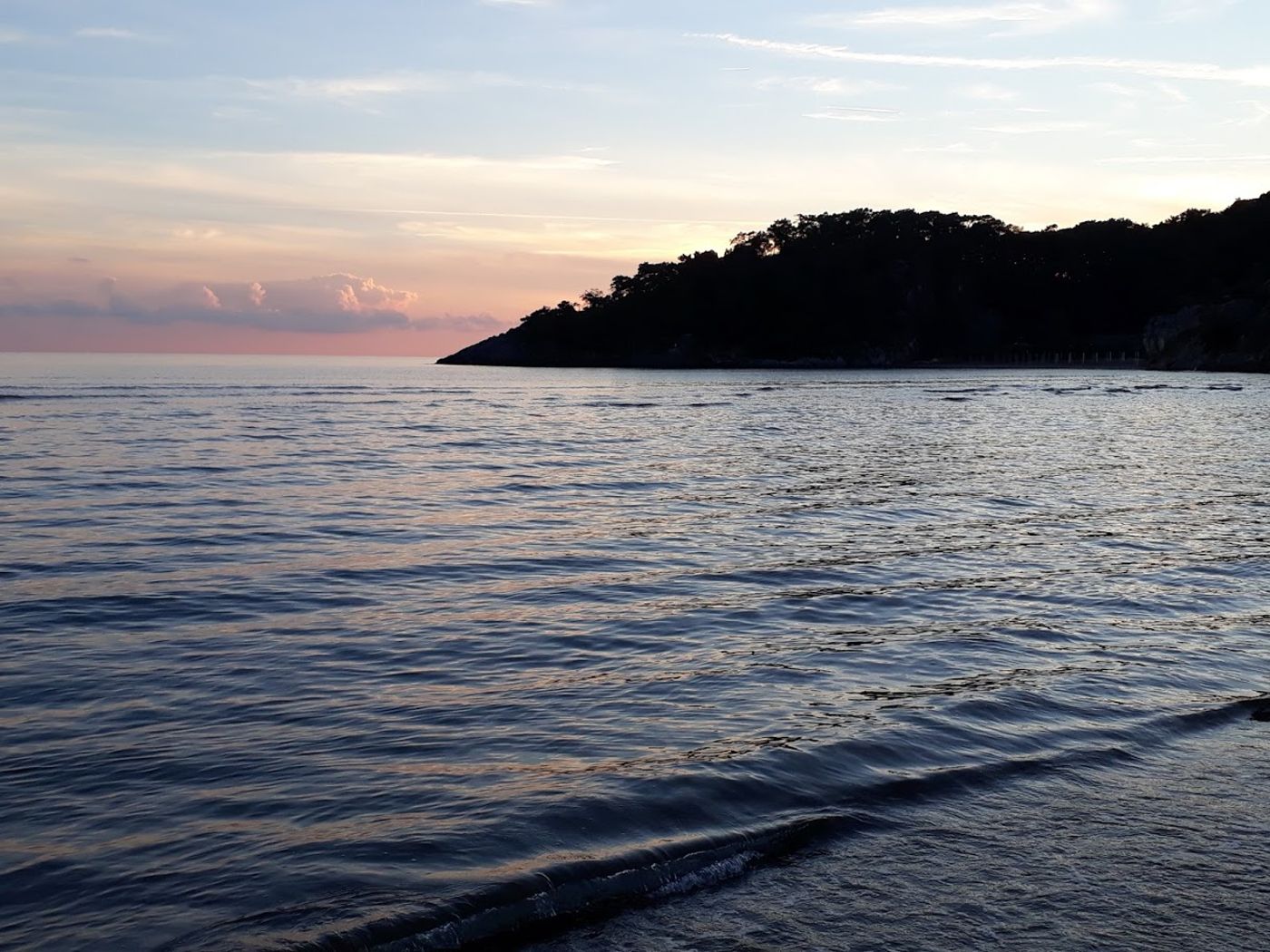 Dolphin-Apart-Beach-50