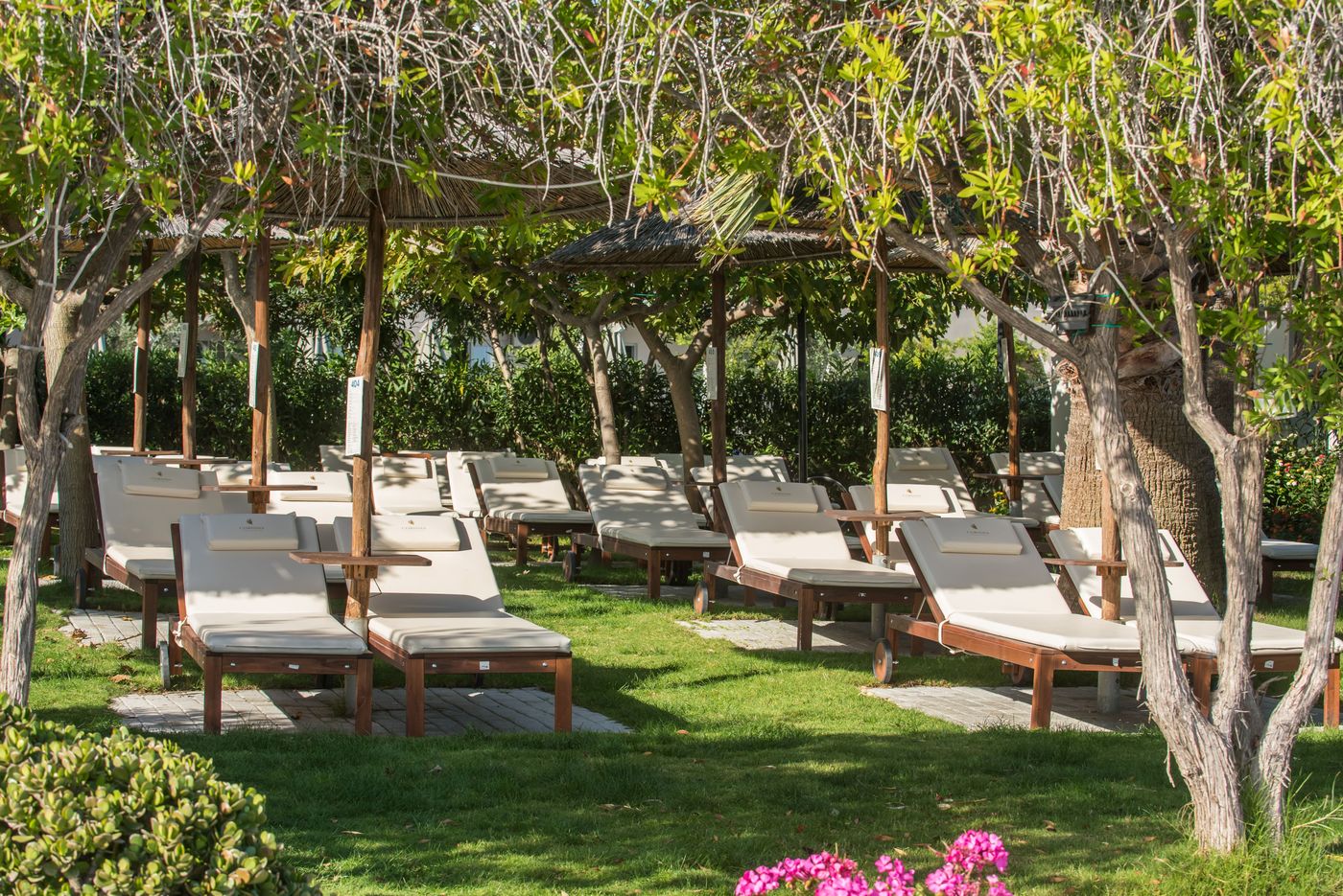 Corissia-Beach-Pool-9