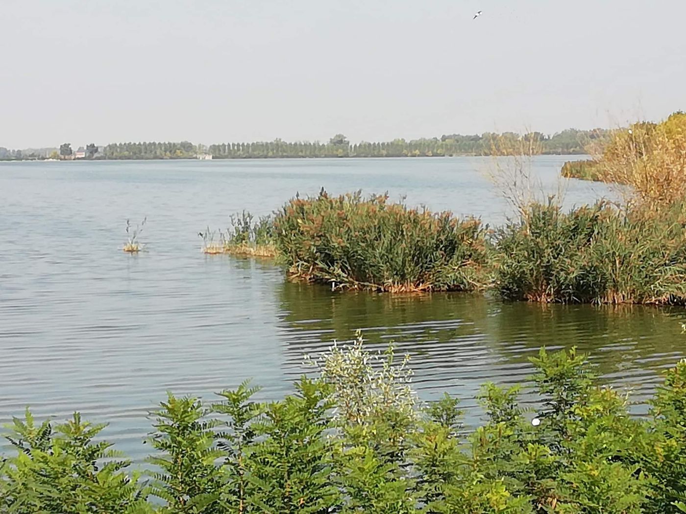 B&B Ciliegio Felice - Italy - ARGENTA - Sports and Entertainment - 1