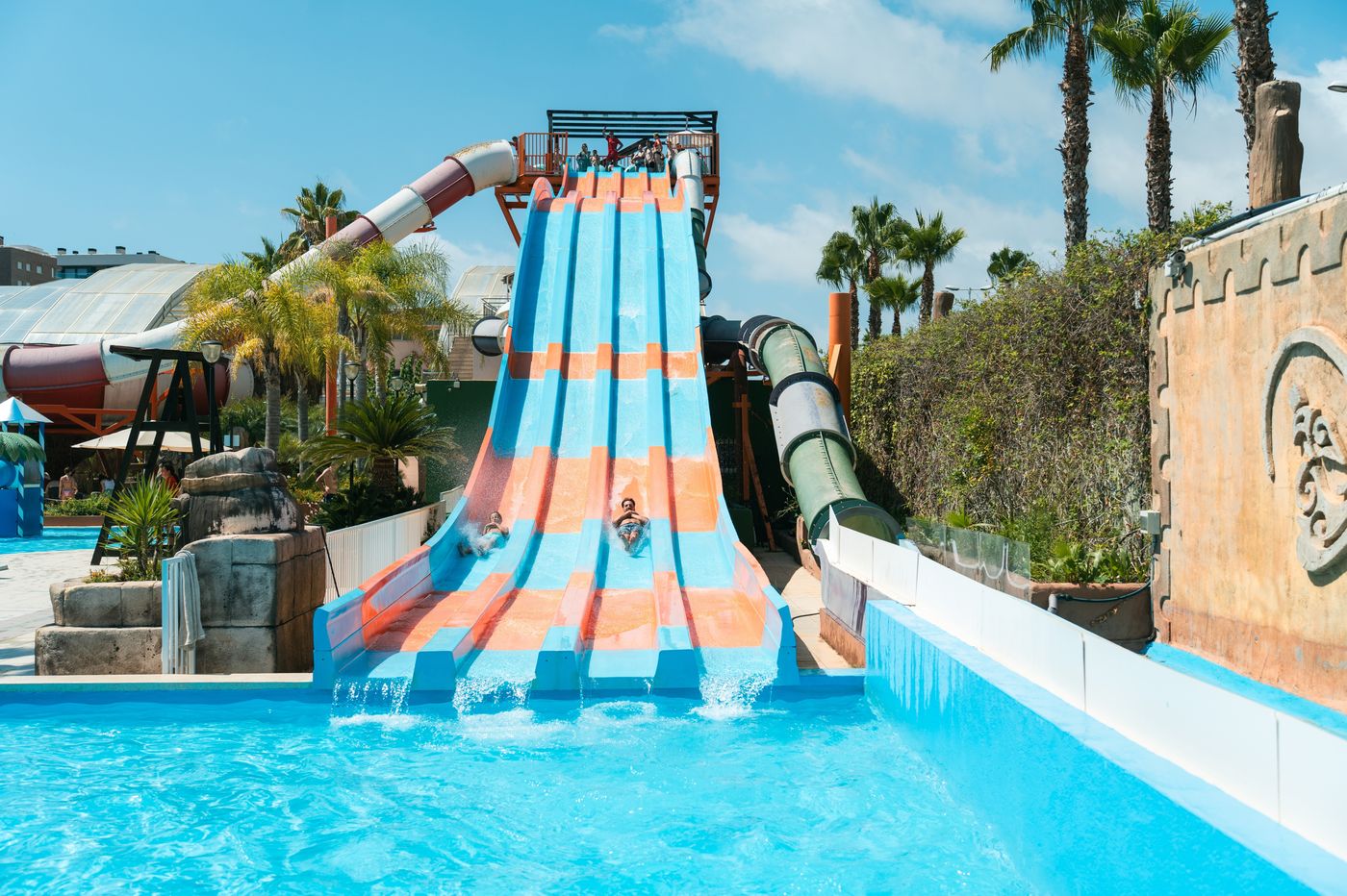 Magic Sports 02.04.25