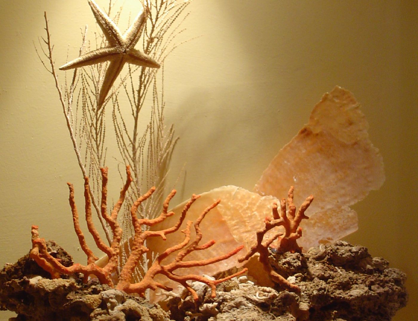 Hotel-Corallo-General-view-29