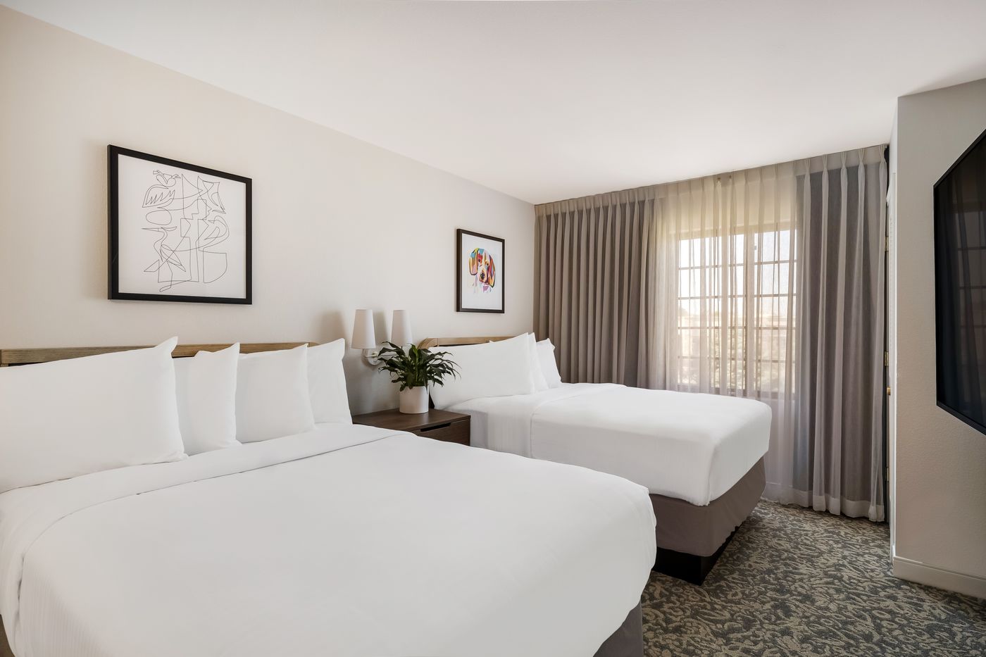 Sonesta ES Suites Austin The Domain Area-United States-Austin-Room-9