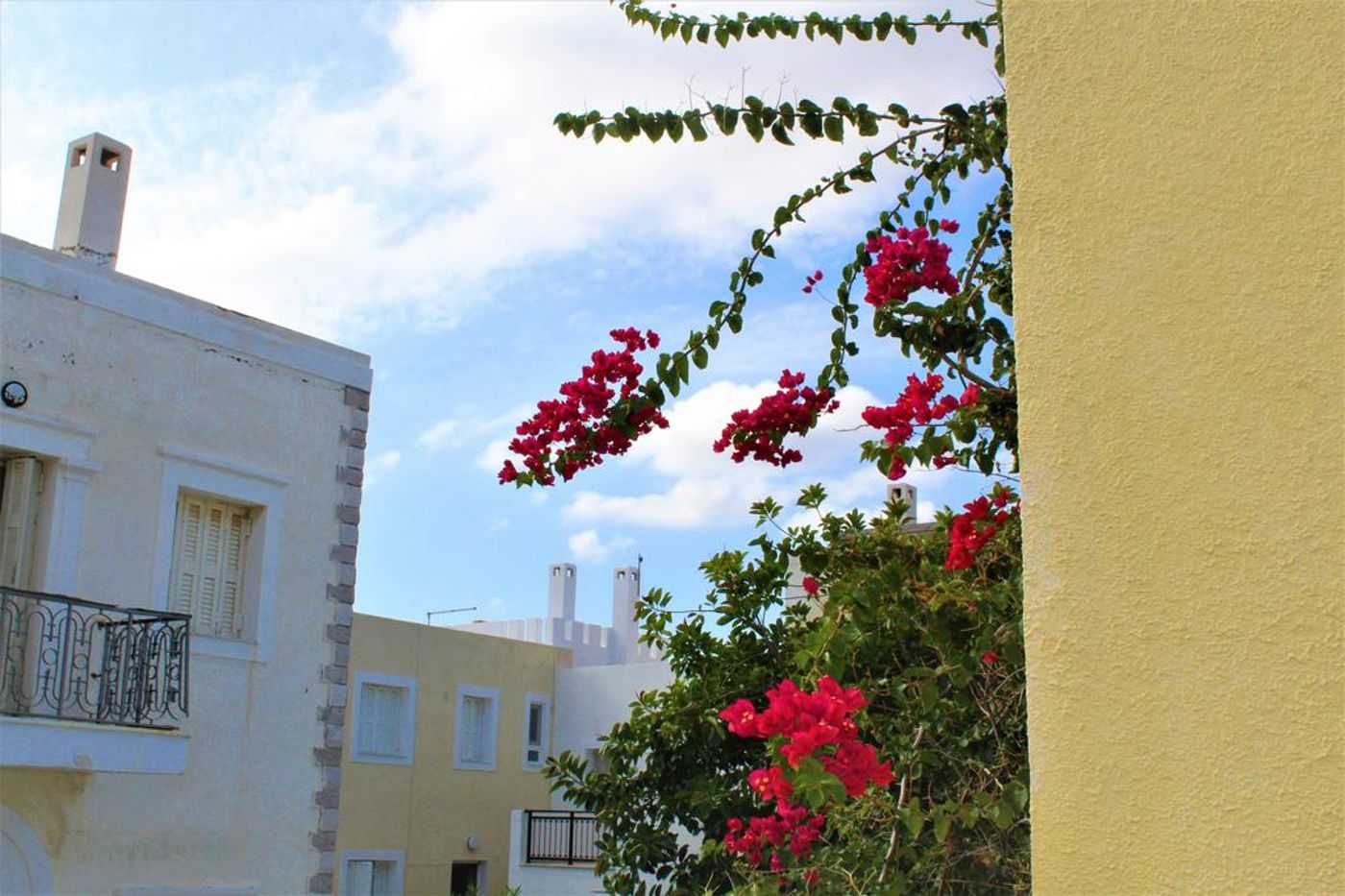 The One and Only Apartments