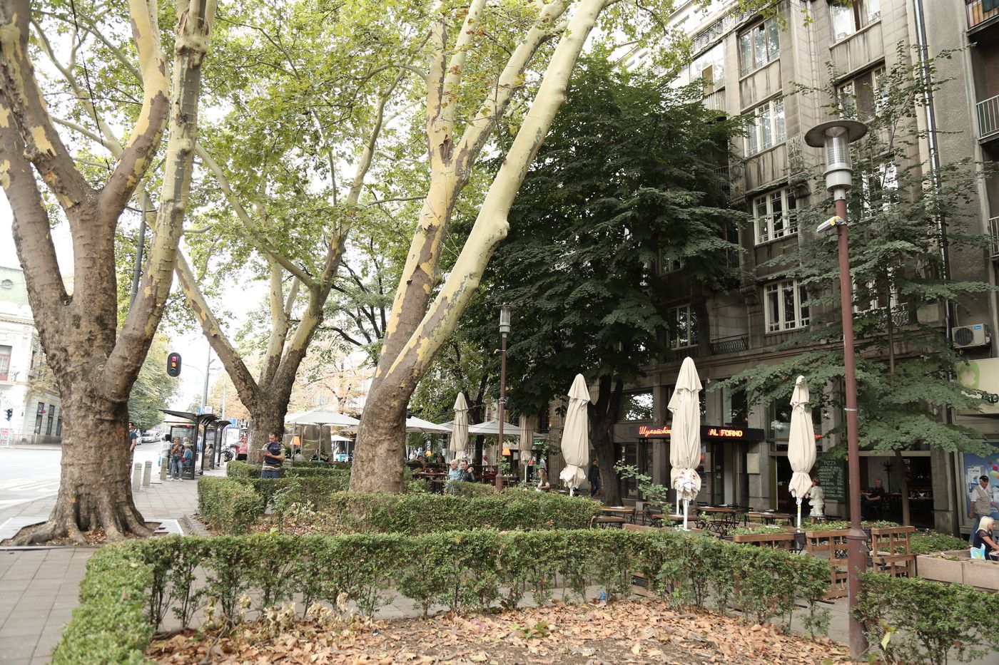 Veneti Suites-Serbia-BELGRADE-General view-1