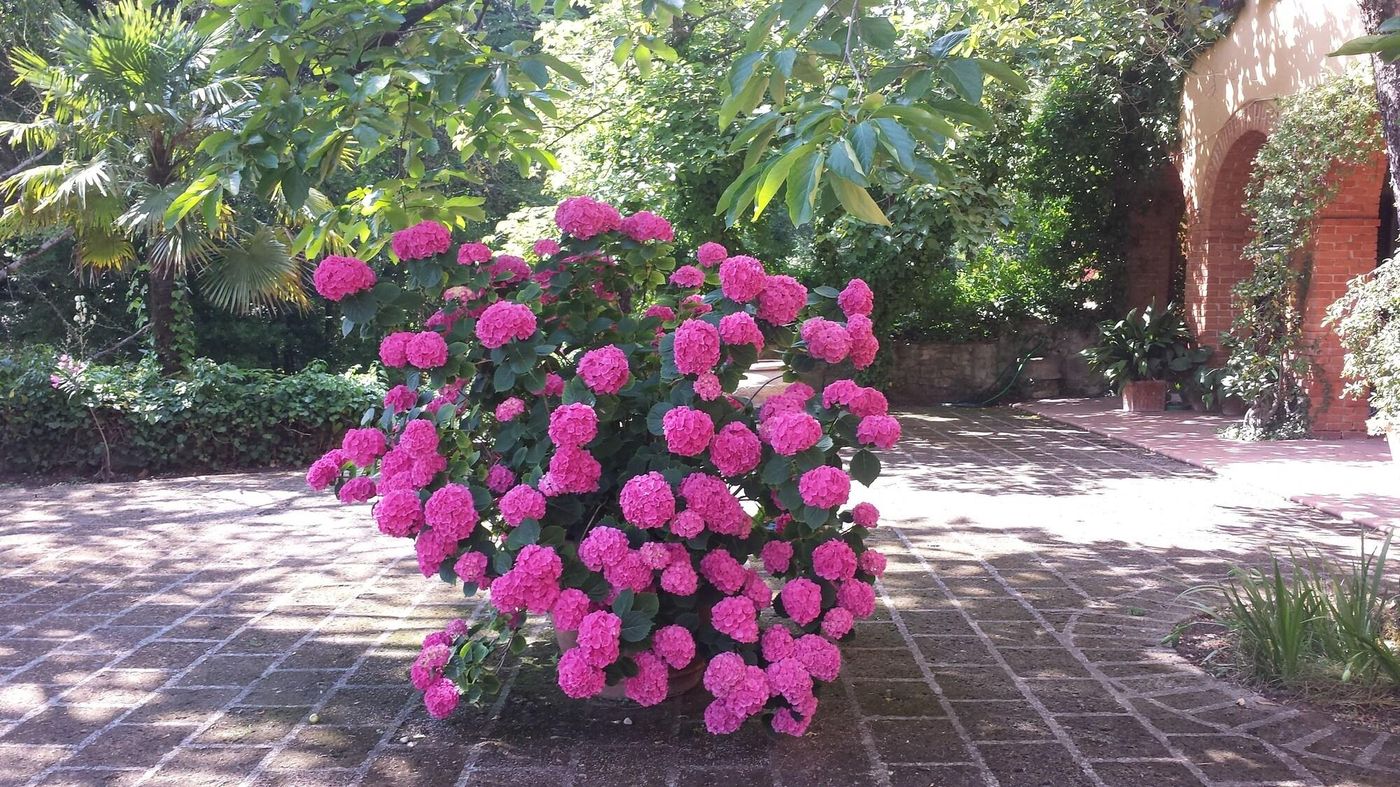 B-B-Villa-La-Nussa-Terrace-51