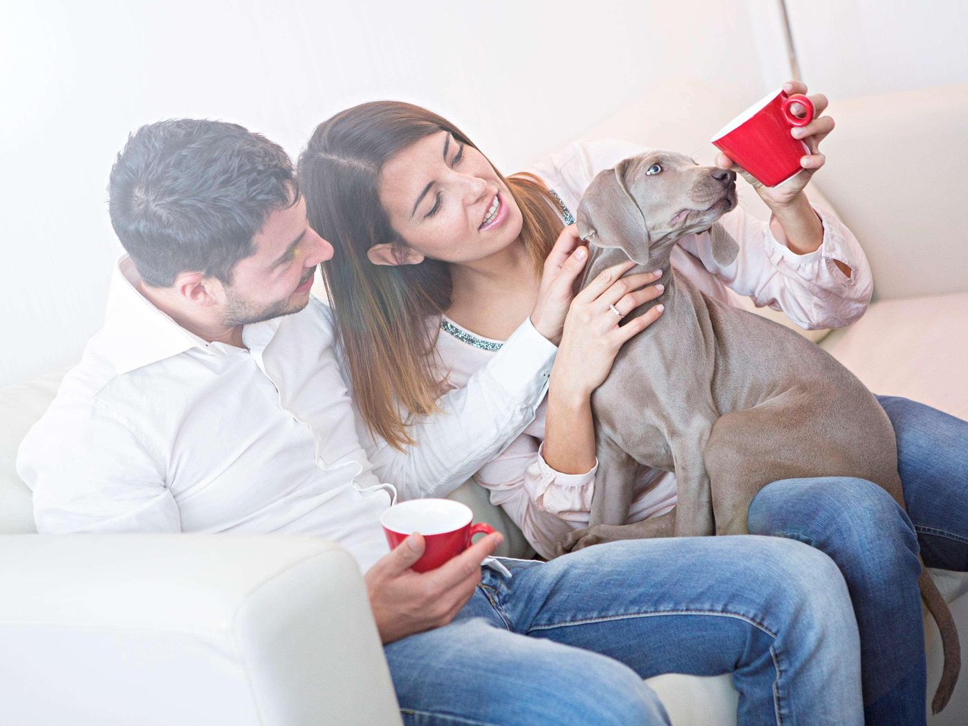 Novotel-Roma-Eur-General-view-37