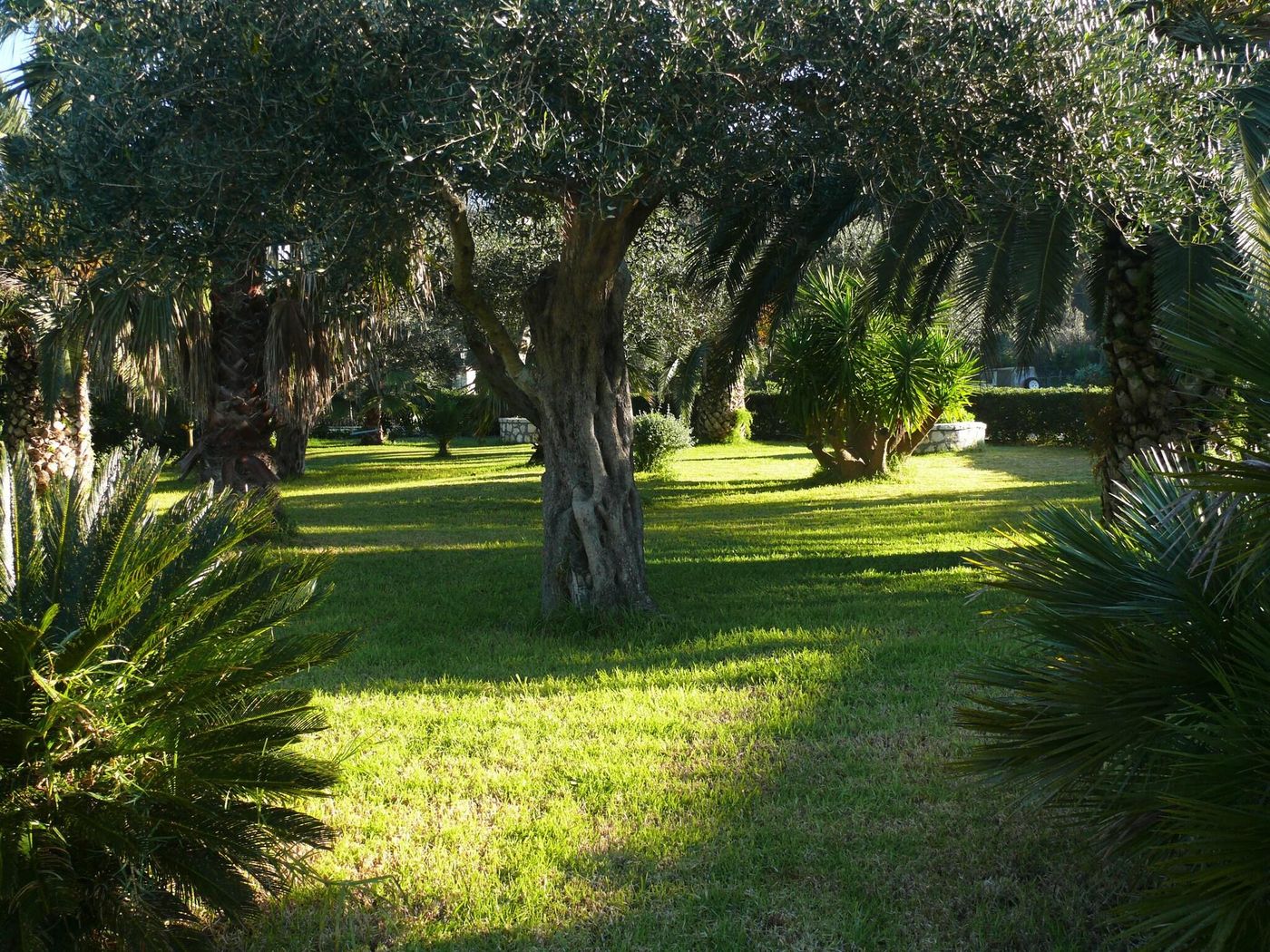 Nefeli-General-view-30