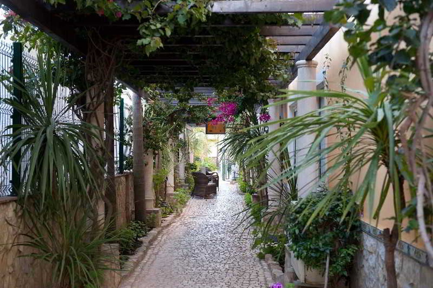 Dom-Manuel-I-Terrace-9