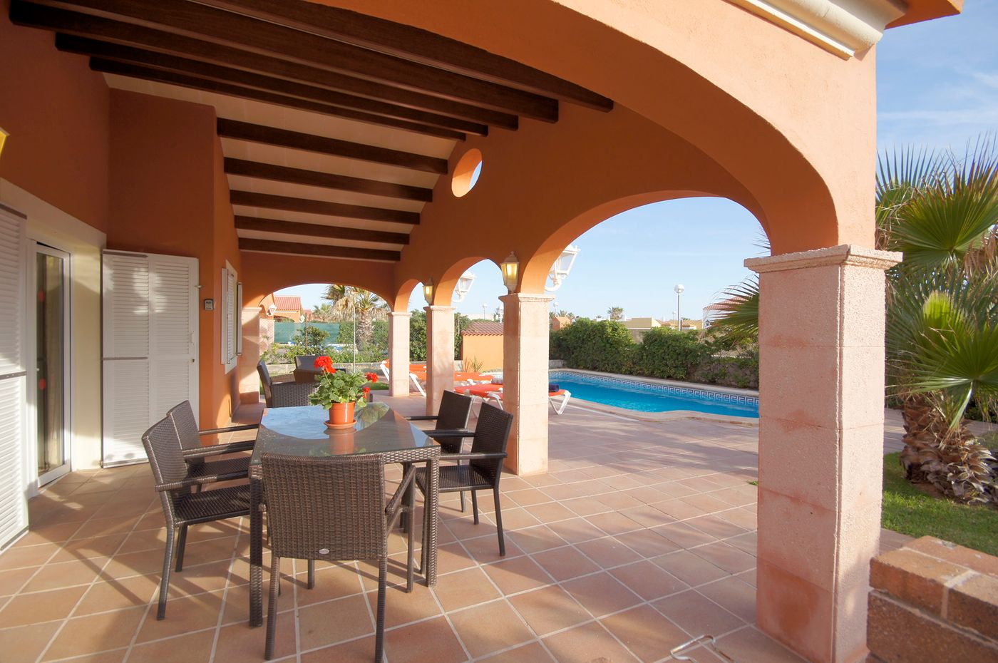 Begonias-General-view-1