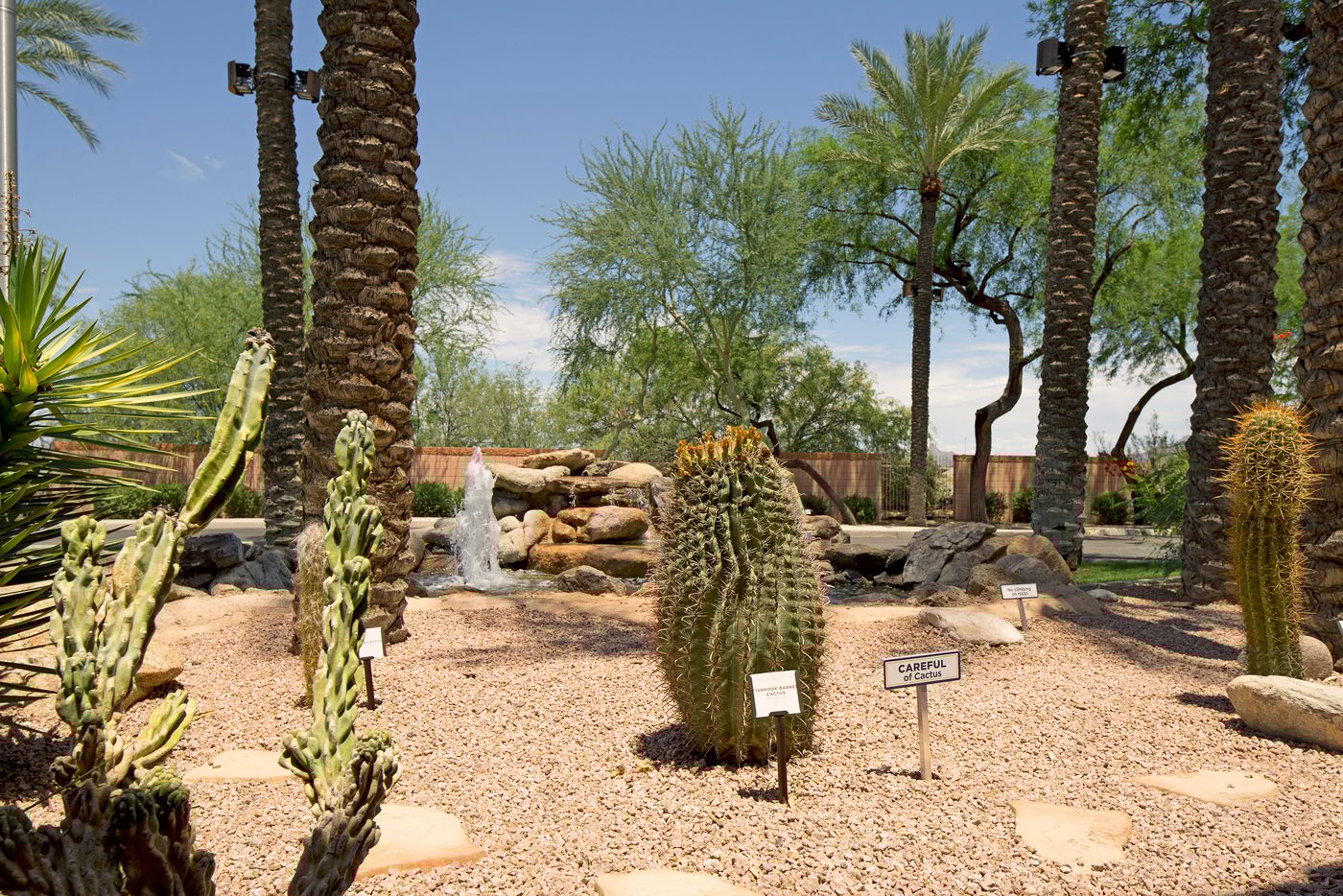 Hilton Vacation Club Scottsdale Villa Mirage-United States-SCOTTSDALE-General view-5