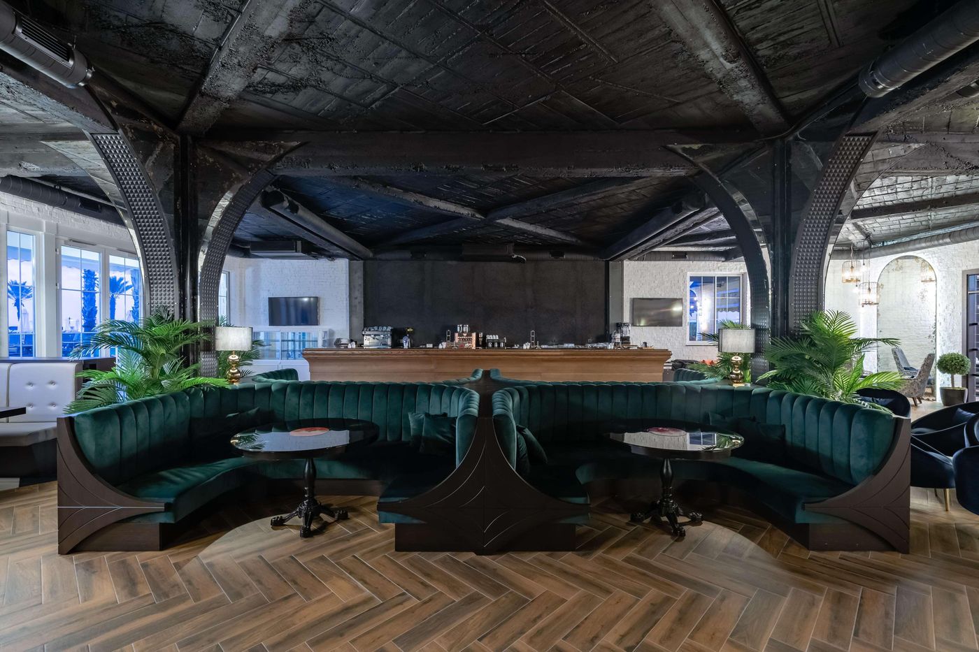 Papillon-Belvil-Bar-55