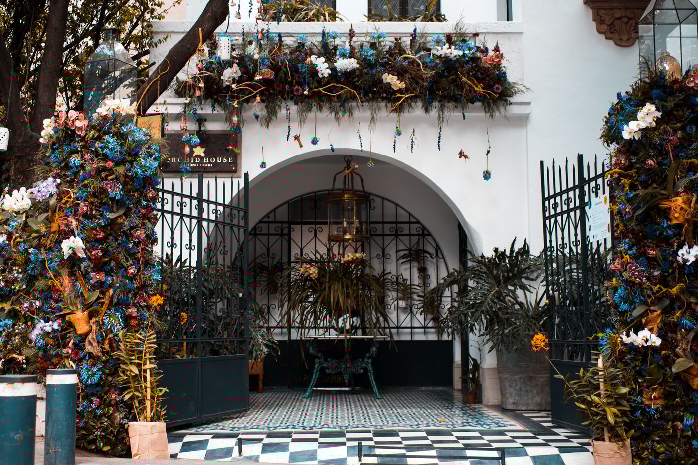Orchid House Polanco-Mexico-Ciudad de México-General view-3